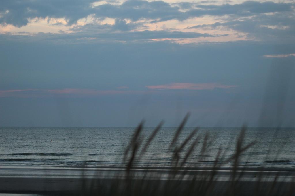 Hotel Westendia And Free Parking Top Breakfast Westende Bagian luar foto